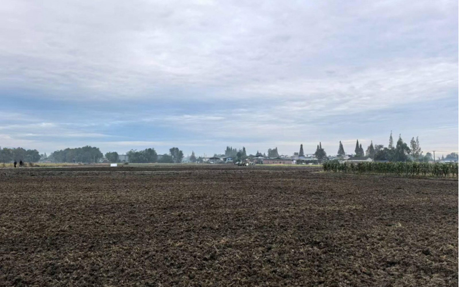 四川省成都市2024年大邑县新场镇、安仁镇高标准农...
